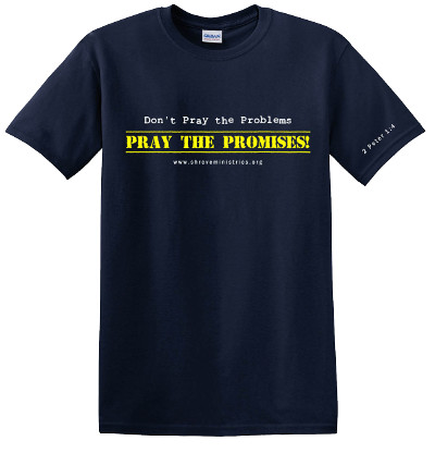 Pray the Promises T-shirt $20