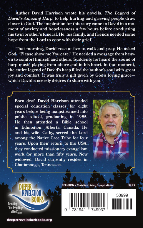 The Legend of David’s Amazing Harp - Image 2